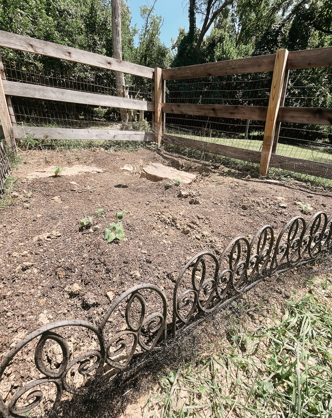 Getting my DIY Pumpkin Patch started!