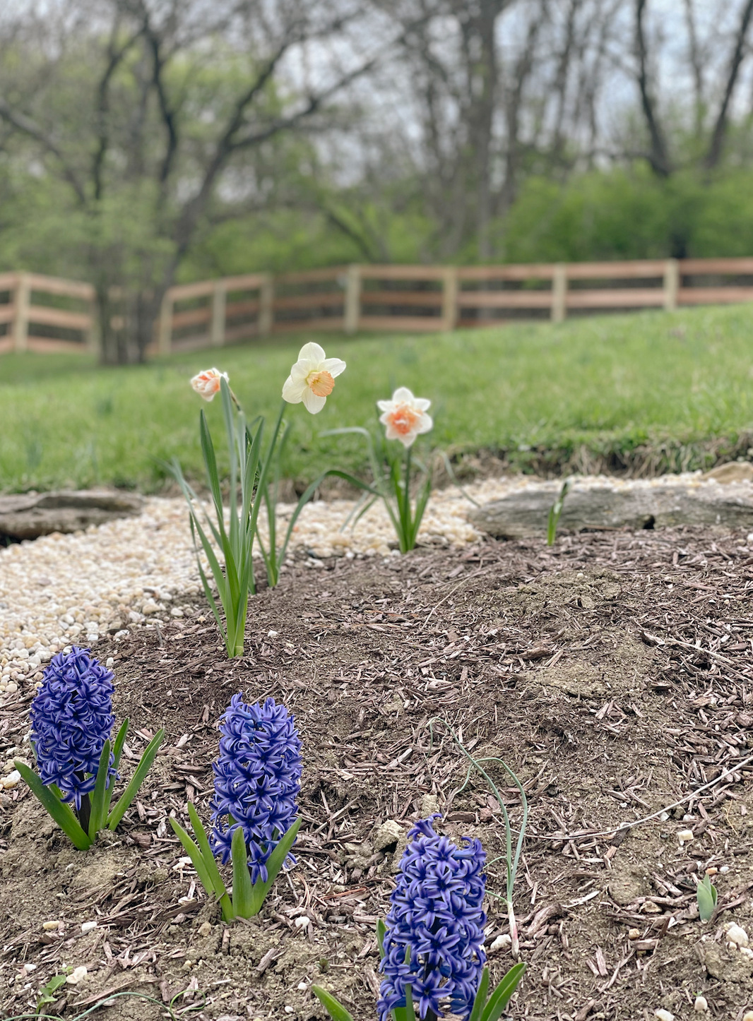 Things I wish I knew about gardening when I started